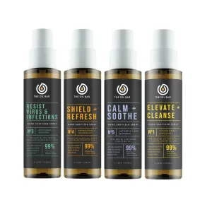 4 PC Hand Sanitizer Set