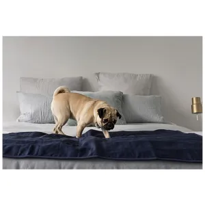 Brolly Sheets Waterproof Pet Pad, Large, 2 Packs