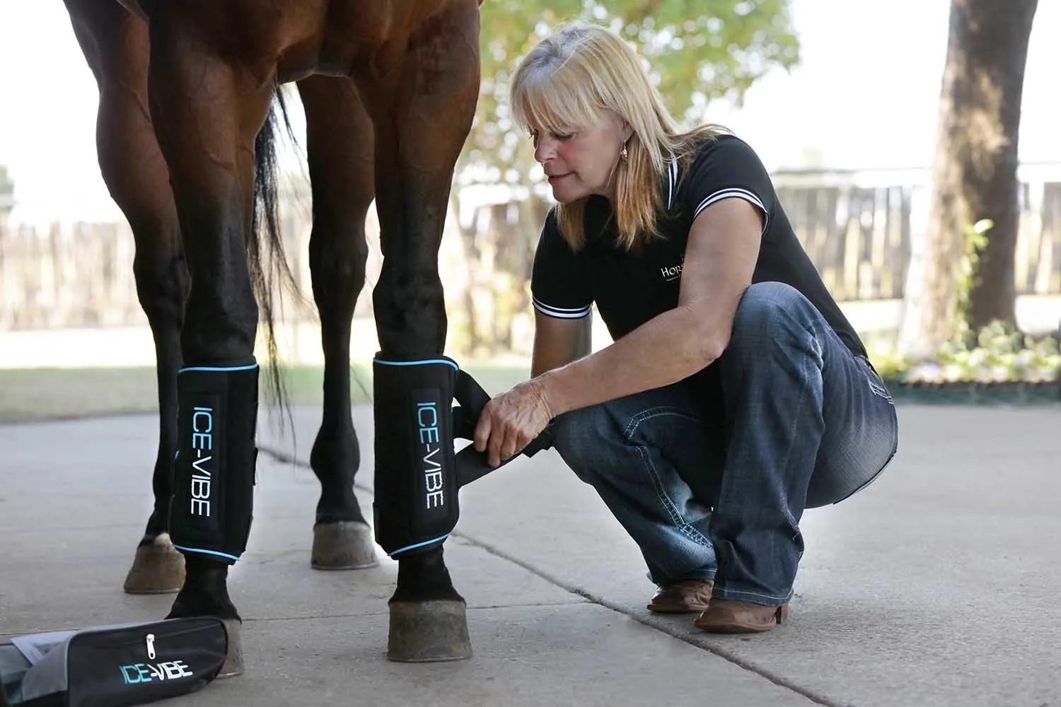 Ice Vibe Boot for Horses, Black