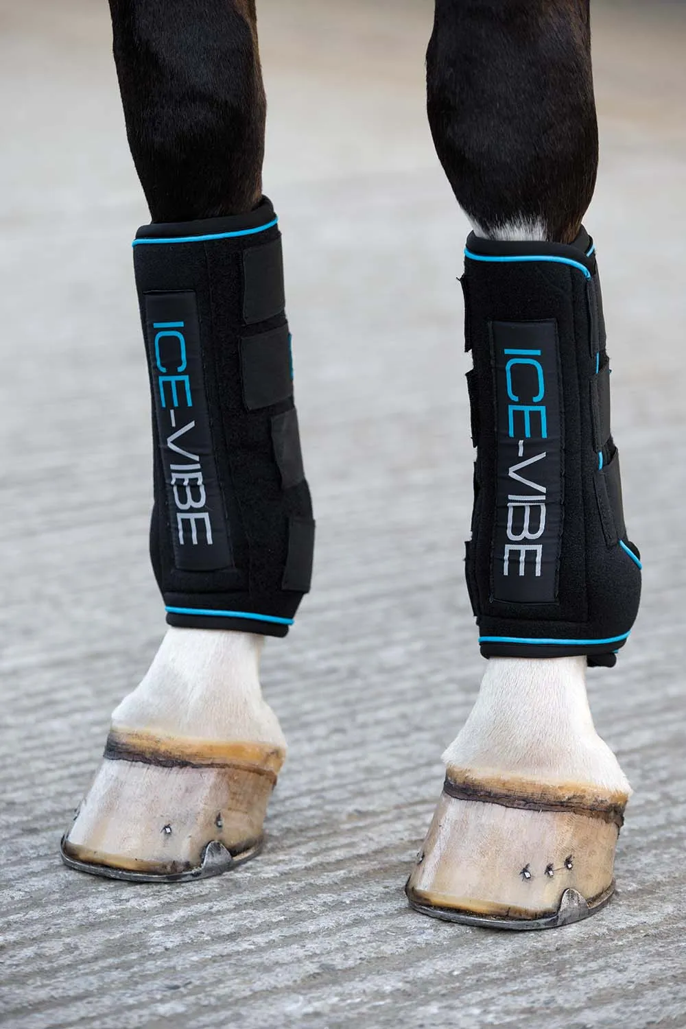 Ice Vibe Boot for Horses, Black