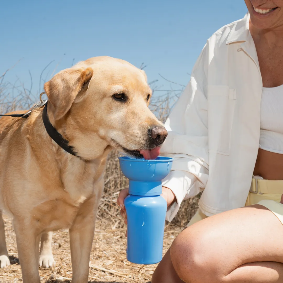 Lilac Dog Travel Water Bottle, 20oz, Flip Silicone