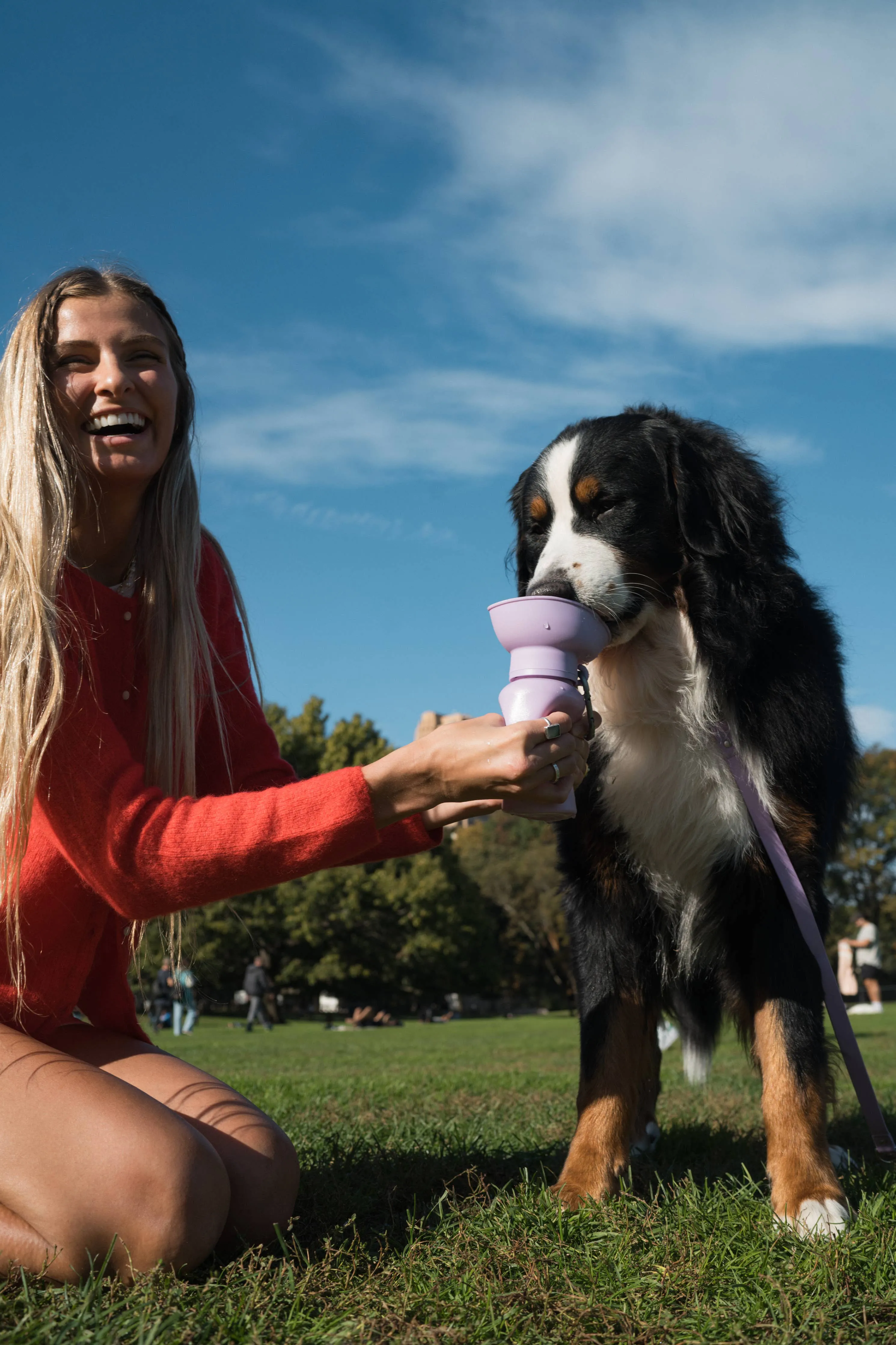 Lilac Dog Travel Water Bottle, 20oz, Flip Silicone