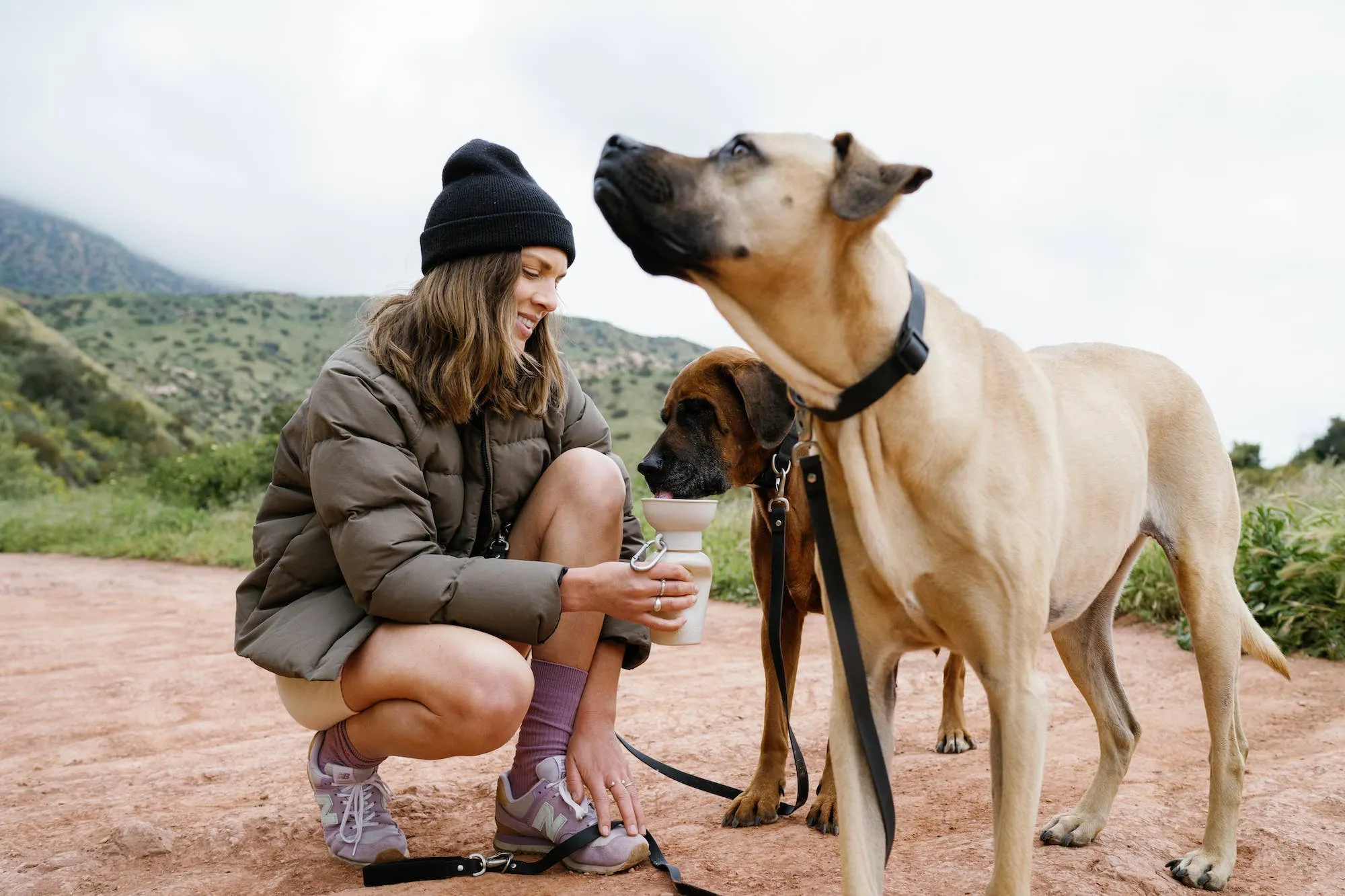 Lilac Dog Travel Water Bottle, 20oz, Flip Silicone