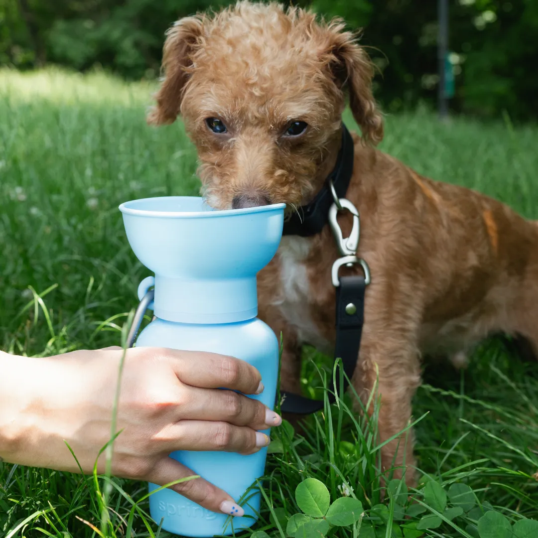 Lilac Dog Travel Water Bottle, 20oz, Flip Silicone