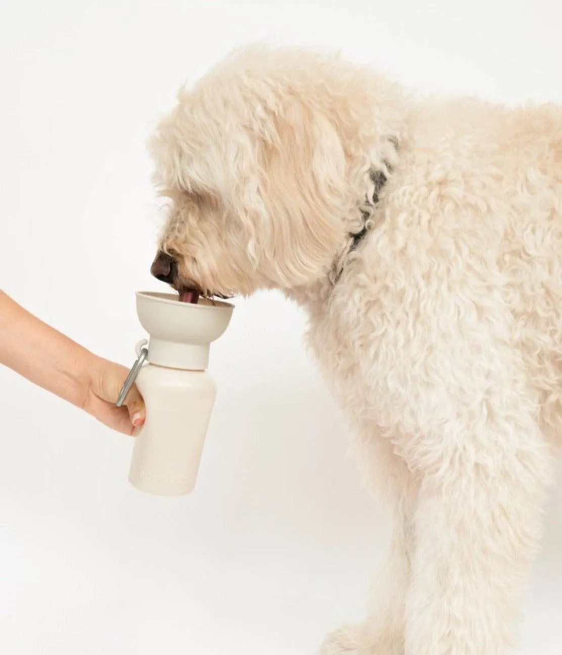 Lilac Dog Travel Water Bottle, 20oz, Flip Silicone