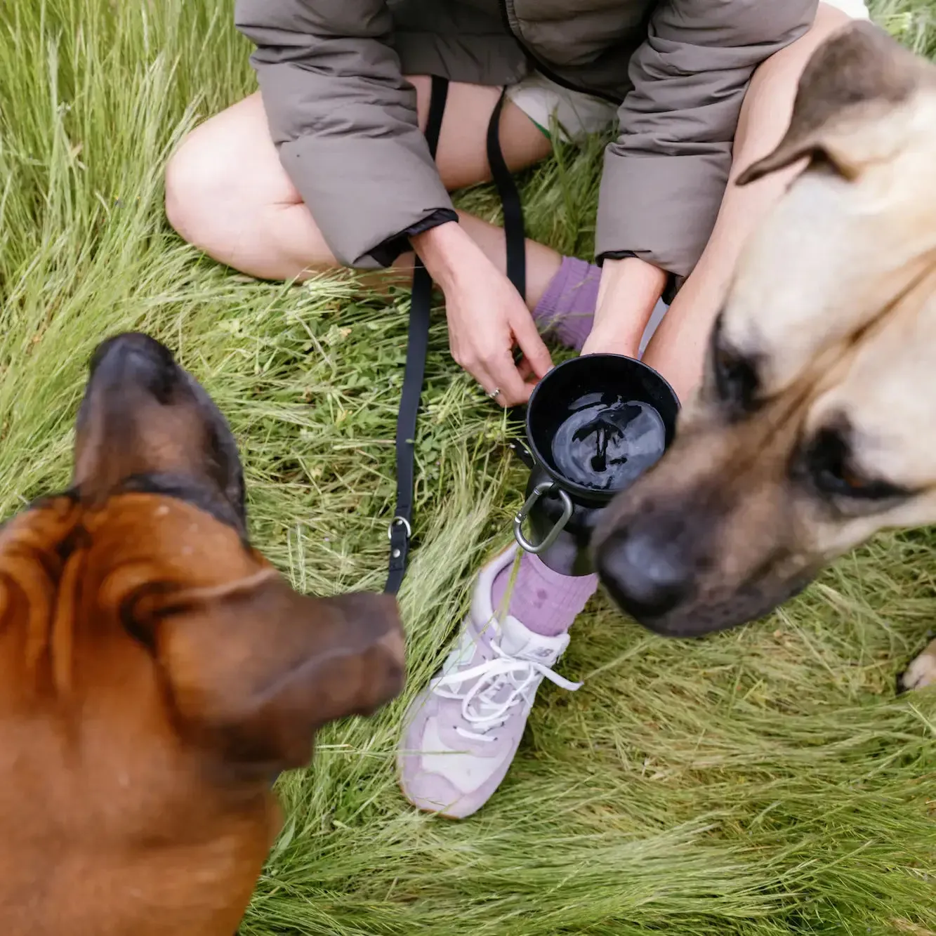 Lilac Dog Travel Water Bottle, 20oz, Flip Silicone