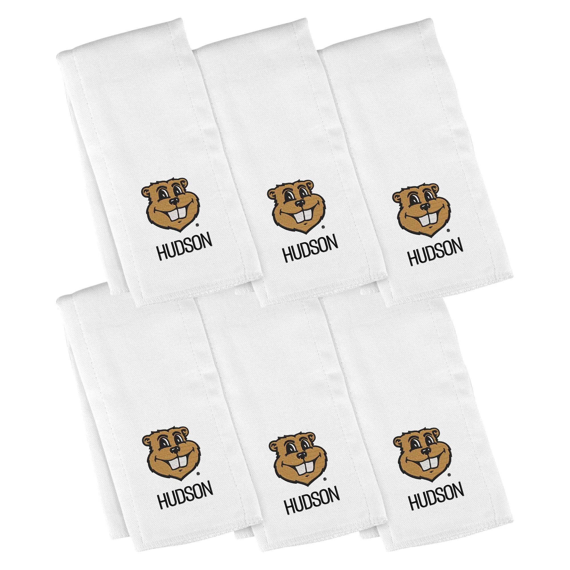 Personalized Minnesota Golden Gophers Goldy 6-Pack Burp Cloths