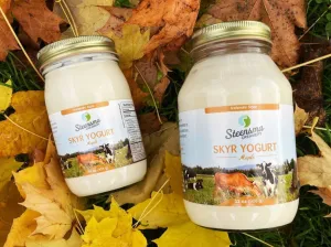 STEENSMA CREAMERY MAPLE SKYR YOGURT